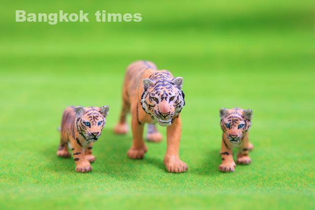 タイの祝日【2022年版】